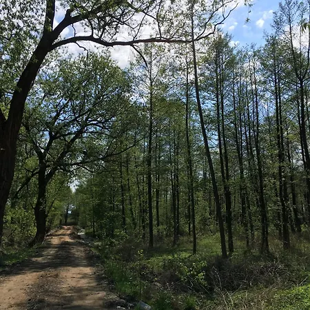 29 Wrony Apartment *