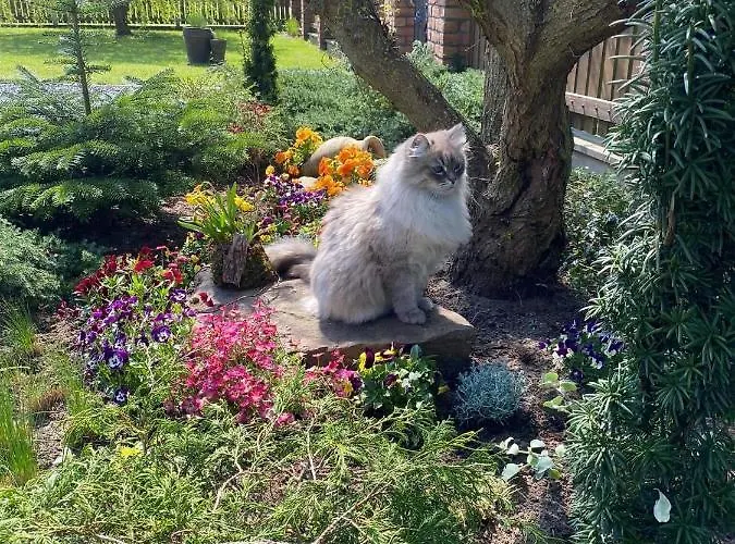 29 Wrony Apartman Giżycko